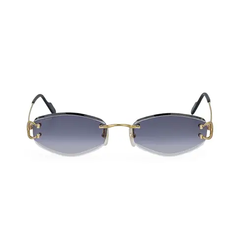 Cartier CT0467S 001 L Cat2 Sunglasses