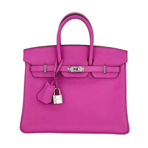 Hermes Novillo Leather Palladium Hardware Magnolia Sienne Birkin 25 - 1